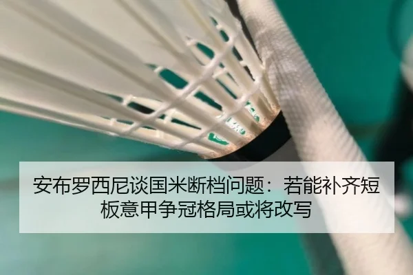 安布罗西尼谈国米断档问题：若能补齐短板意甲争冠格局或将改写